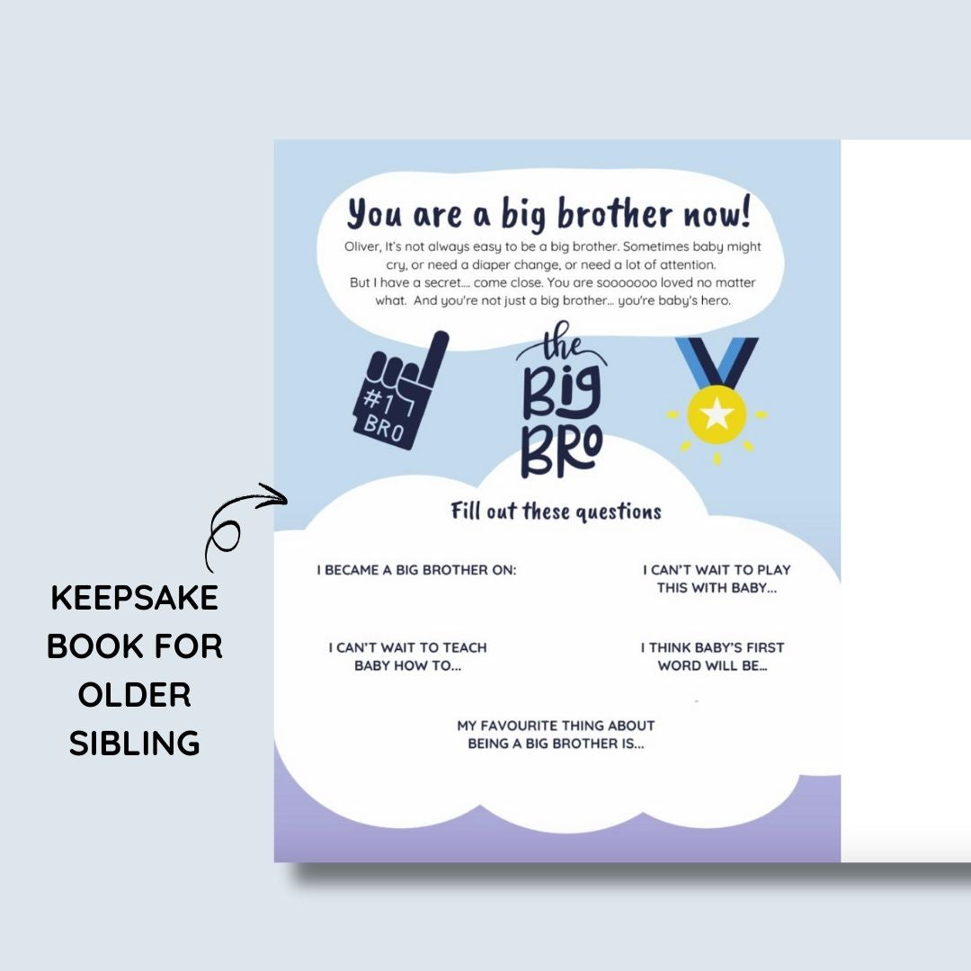 Best Big Brother Book