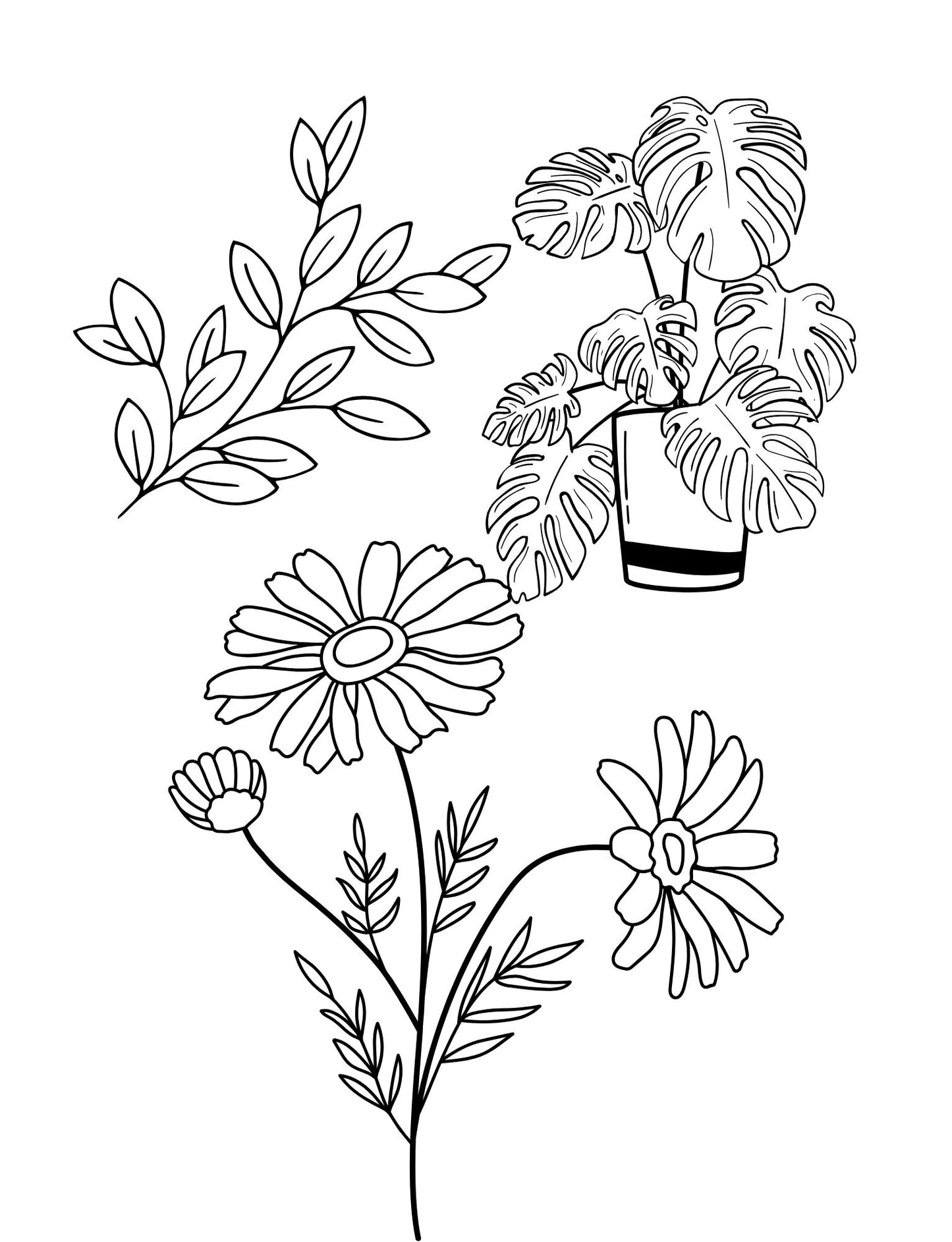 Hello Plants with Colouring Book